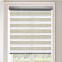 Dual Sheer/Zebra Shades