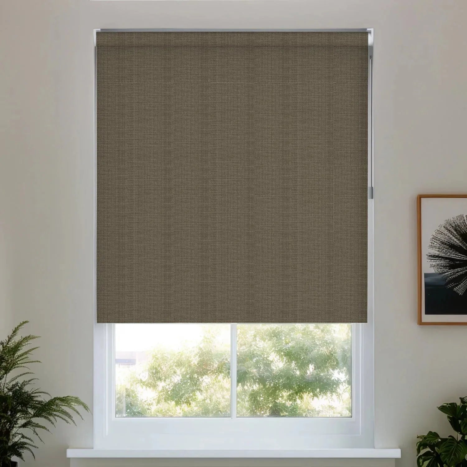 Hemp Grain Light Coffee