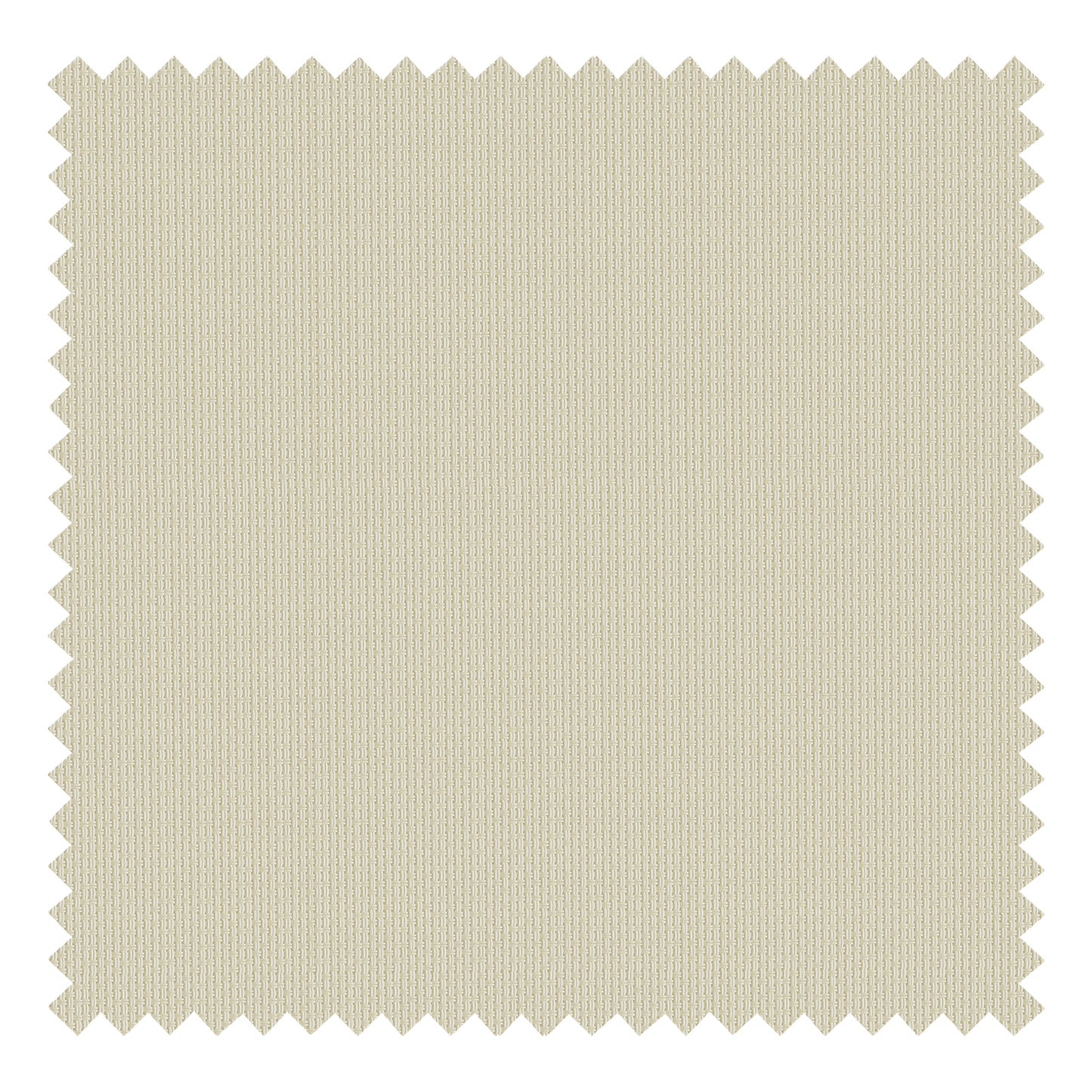 Plain Beige