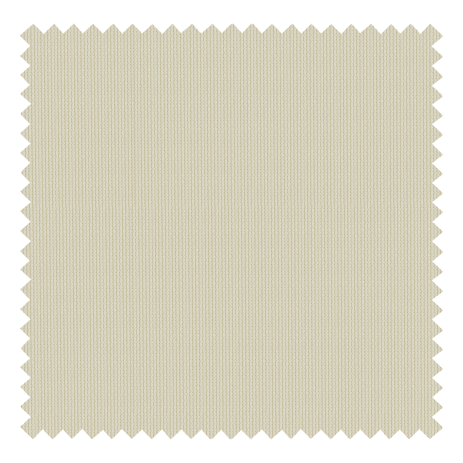 Plain Beige