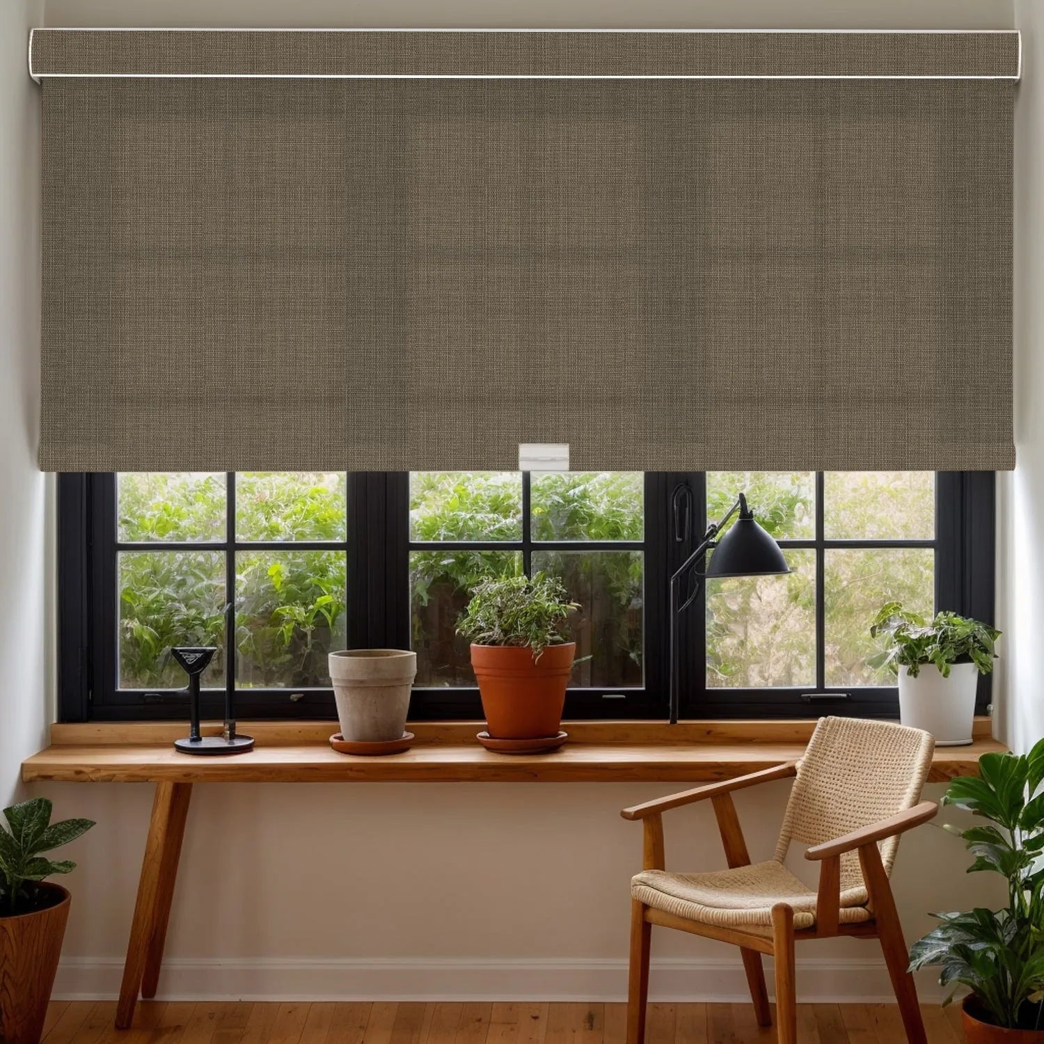 Hemp Grain Light Coffee