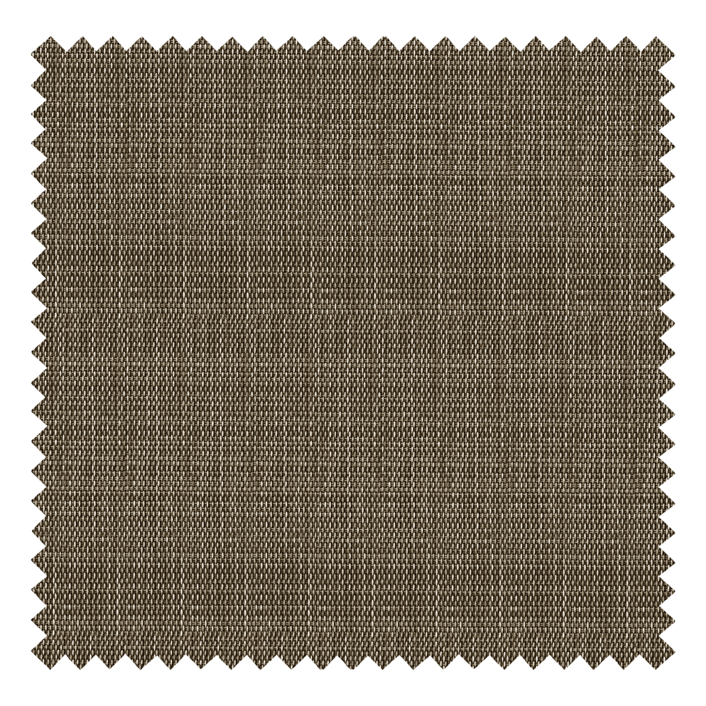 Hemp Grain Light Coffee