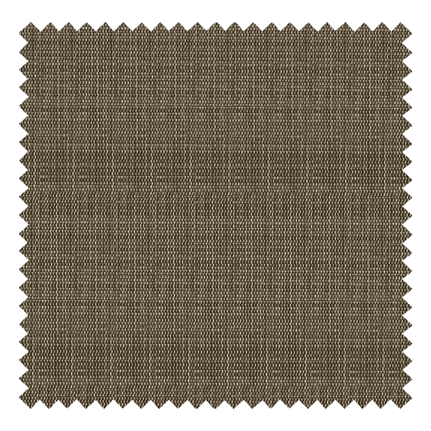 Hemp Grain Light Coffee