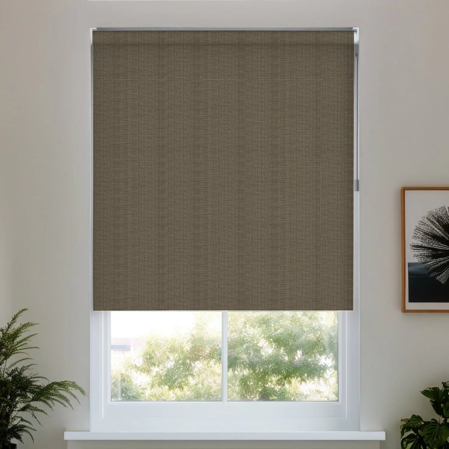 Hemp Grain Light Coffee