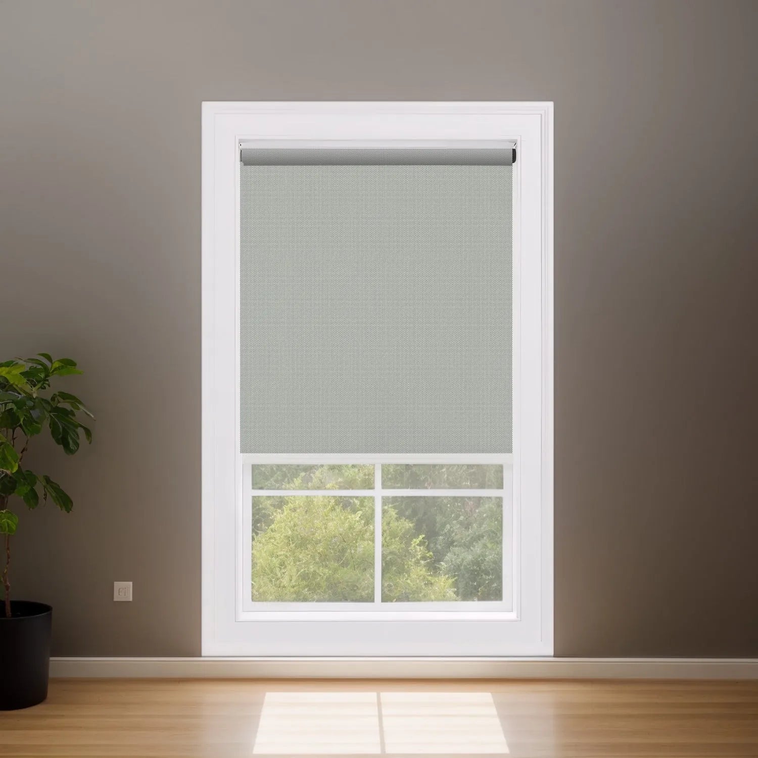 Fine-Textured Iron Gray